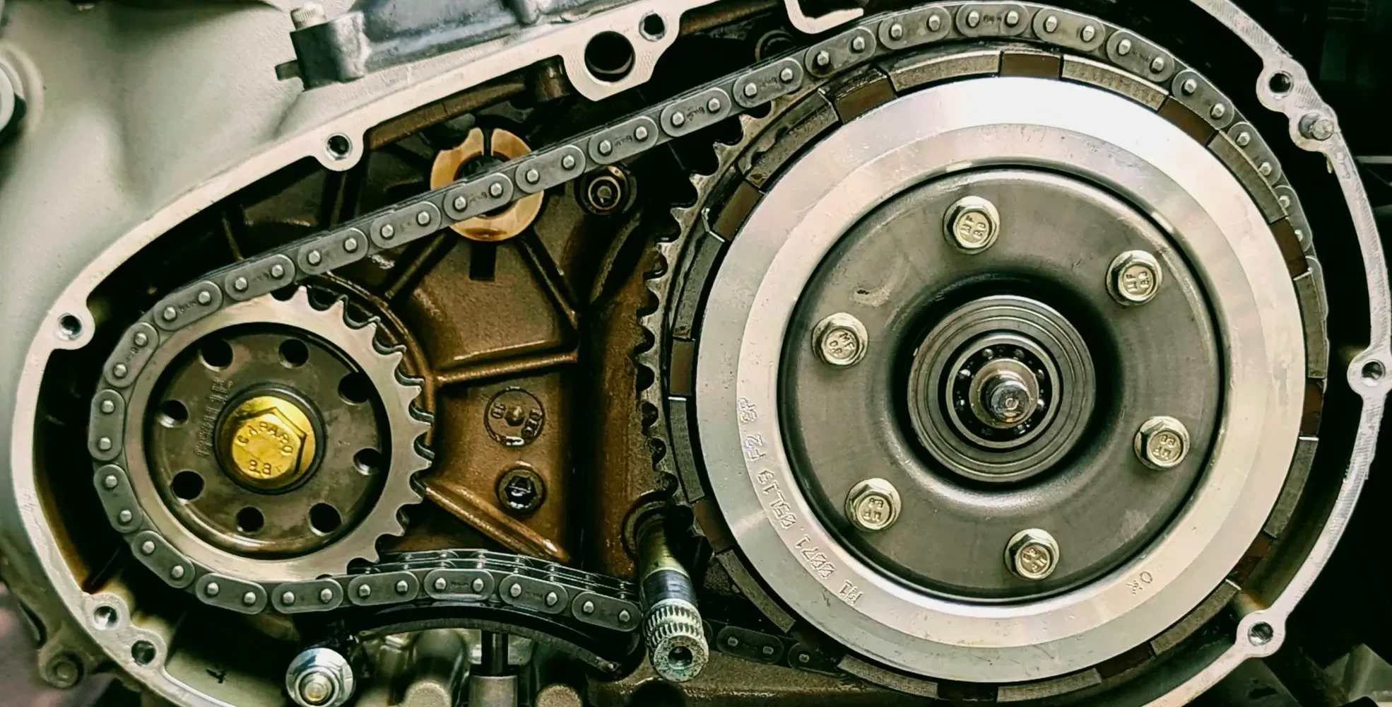 Motorcycle clutch and primary drive assembly